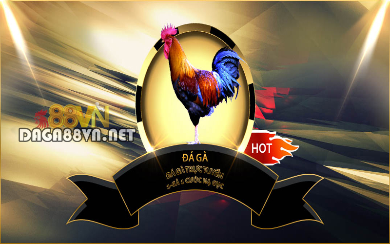 Sảnh đá gà Jun88 – SV388
