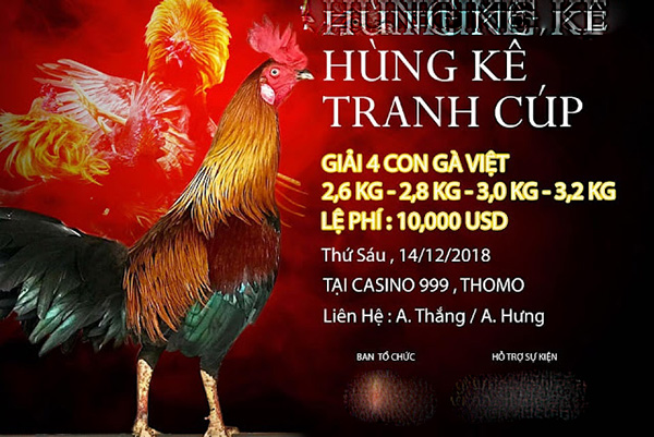 Cách chọn gà tre đá giải hay như thế nào?