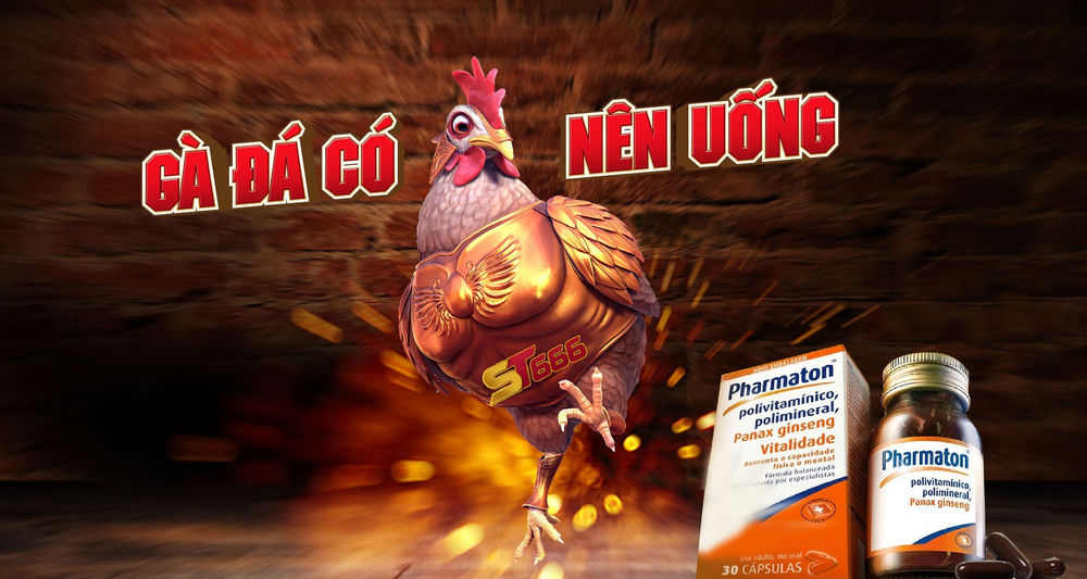 Lợi ích khi cho gà uống pharmaton trước khi đá