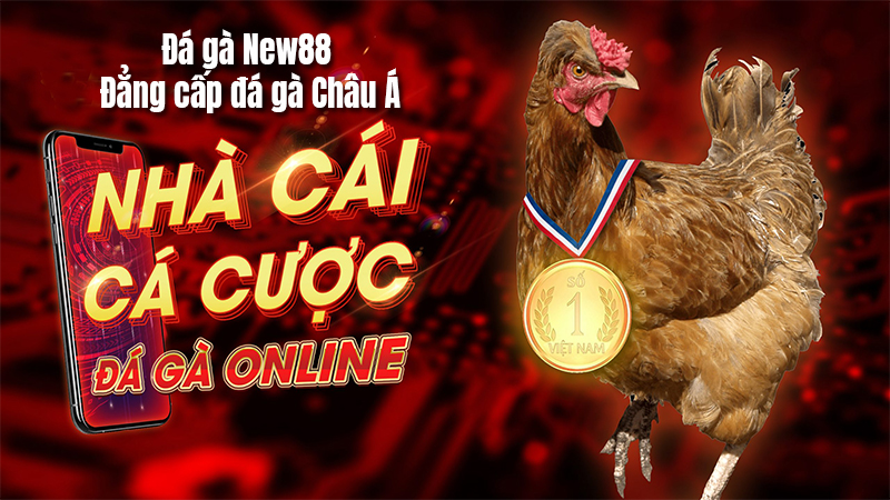 Lý do tại sao bạn nên chọn New88 để xem trận đá gà?