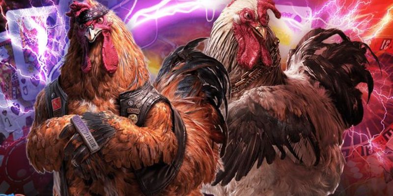 Những ưu điểm khi tham gia đá gà SV388