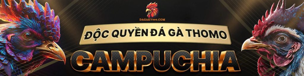 dagakv999
